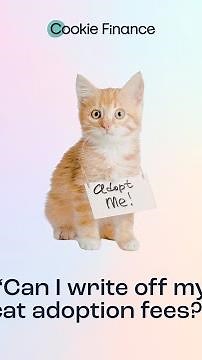 Can I Write Off My Cat Adoption Fees?
