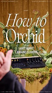 Telepathic Instruments | Ever wondered how to Orchid? Neither had Matt. This is How to Orchid By Telepathic Instruments STARRING MATT BERRY @mattberrymusic... | Instagram