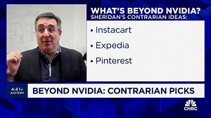 Goldman Sachs' Eric Sheridan shares his contrarian tech picks