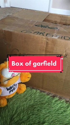 I found garfield checks, napkins, bags, bday cards, banners and more too 😭 #garfieldcollection #garfieldcore #garfield #collection #collector #garf