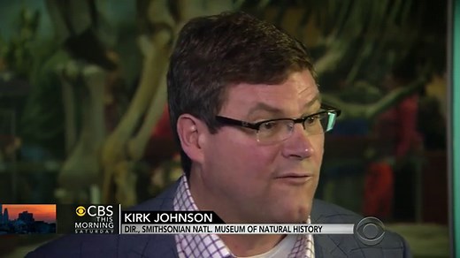 Smithsonian receives a nearly complete T-Rex skeleton