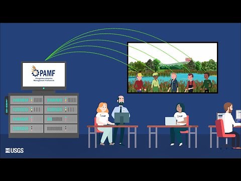 Phragmites Adaptive Management Framework: Model Overview