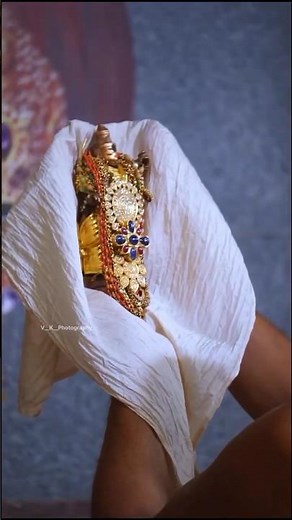 Sri Moola Rama Devara Darshana 🙏@ Sri Uttaradi Math