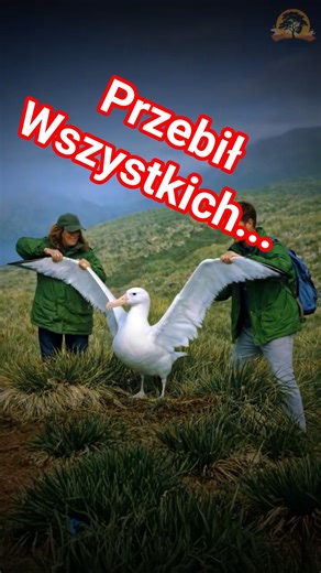 Think it's a bird? See who really had the biggest wings in history 😳