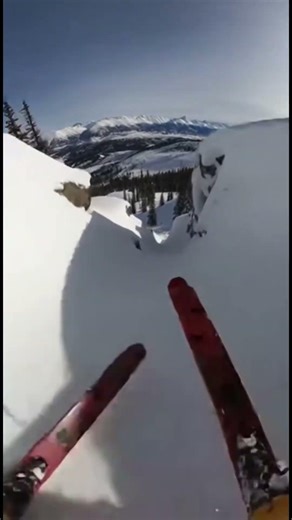 Skis Crossed in a Mini Halfpipe