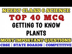 Best MCQ Class 6 Getting to know Plants || NCERT Class 6 Science // Class 6 Science UPSC BEGINNERS