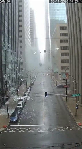 Can You Explain What This Camera Captured While Running Unattended?