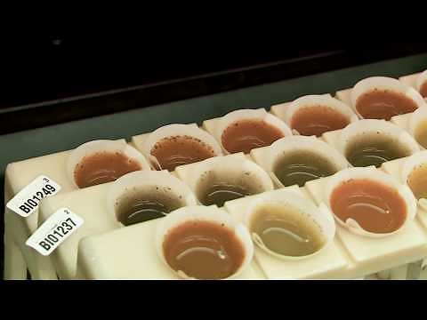 Inside a Soil Testing Lab