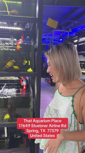 That Aquarium Place Spring TX address and koi fish shop