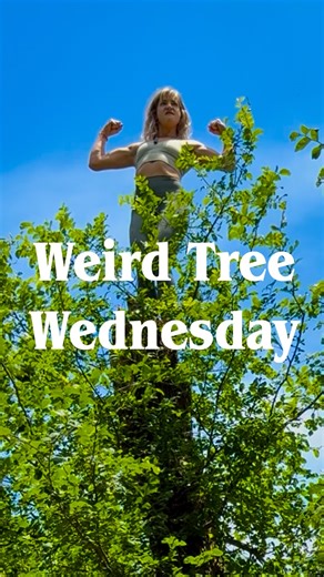 Allison Frueh | Yooooo This was one of the COOLEST Weird Tree Wednesdays to date! 🤩 Power poses level 9000 💪 Thanks for tuning in for your weekly dose... | Instagram