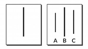 【『アッシュの同調実験』をわかりやすく】人は、集団に屈する【ソロモン・アッシュの心理学実験】