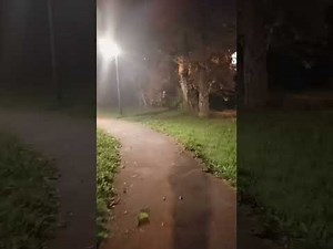 Has the level of education fallen?