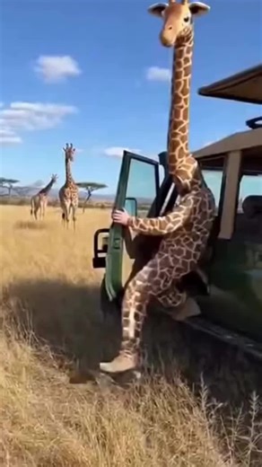 Animals React to Funny Human Pranks 😂