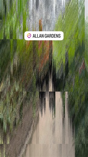 *has an environmental photo assignment* Fine i’ll go to Allan Gardens 🌺 #nature #botany #botanicalgardens #Toronto | Vince