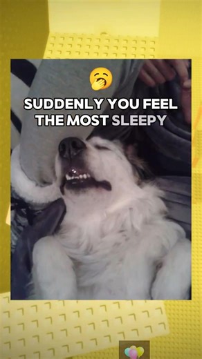 Things That Make Absolutely NO SENSE! Roblox Rant 😭🙏🏼🥀 #relatable #roblox #funny #rant #rblx #facts