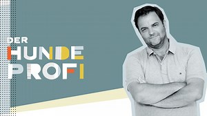 Folge 1 vom 08.03.2025 - Der Hundeprofi | RTL