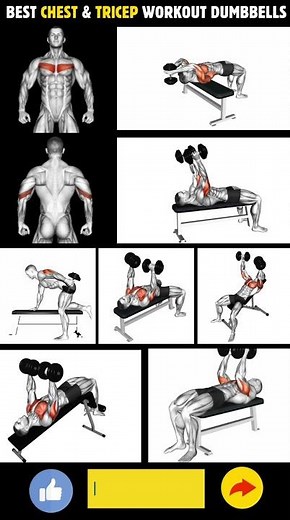 7 Best Chest And Tricep Workout Routine With Dumbbells| #workout #chestworkout #tricepsworkout