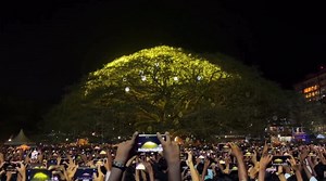 Un conte de fées illuminé : un sapin de Noël en Inde attire des centaines de visiteurs À Kochi, en Inde, un arbre de pluie de 400 ans a été décoré selon la tradition. Sa beauté et sa taille surpassent celles de nombreux autres sapins de Noël. Des milliers de guirlandes, de boules et de clochettes en terre cuite ornent son immense canopée. Chaque année, le spectacle féerique de l'illumination de son sapin attire des familles entières, des touristes et des photographes. | Info Magazine 3.0