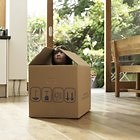 What Is "Symbolic Thought" in Child Development?