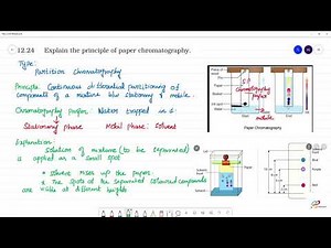 Explain the principle of paper chromatography.