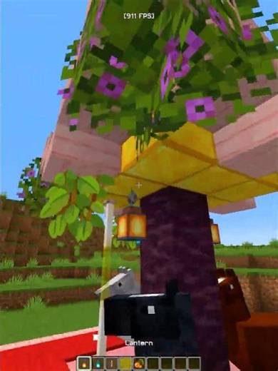 Minecraft Carousel Ride 💀