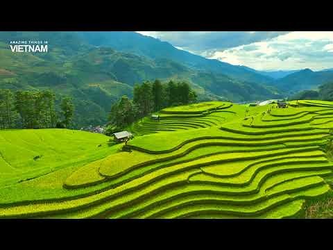 Mu Cang Chai – The land of the most beautiful rice terraces in Vietnam