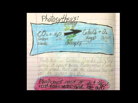 NextGen Life Science - 5th Grade