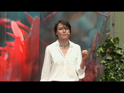 The power of architecture and its impact on human wellbeing | Natalia Olszewska | TEDxPrague