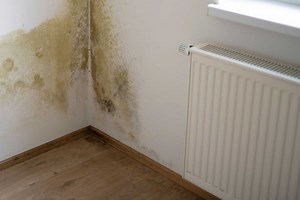 Quel est le meilleur isolant pour un mur humide ?