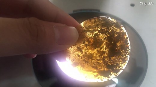 Scientists discover remains of extinct snake species in amber