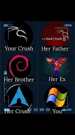 Distro dynamics 🤣#linux #programming #computer #windows #crush