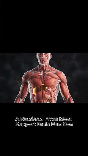 “What Happens When You Eat Meat – 3D 4K Anatomy Explained”