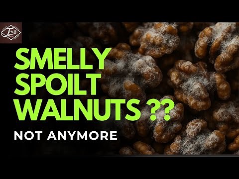 Why your walnuts go bad - and how to fix it !!