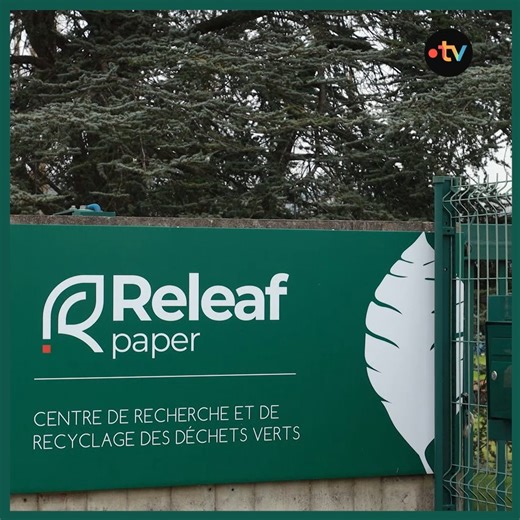Chez Releaf Papier, Bertrand Chevalier transforme les feuilles mortes… en feuilles de papier ! Une innovation pleine de sens, qui allie recyclage, sobriété et respect de la nature. Quand la forêt devient matière à écrire. 🌳✍️ | Silence ça pousse