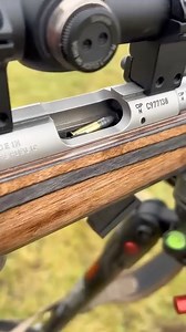 The Silent Assassin #gun #guns #rifle #rifles | PatriotAddict.com