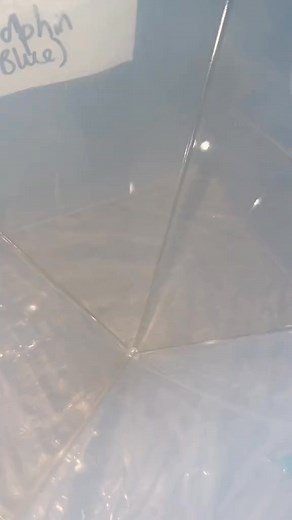 In memory of ‘Gusto’ 🐾🐶 Pet Memorial Pyramid using dog tag 💜 #resin #resinart | Georgialinzi