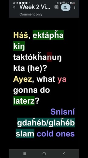 Exploring Lakota Language and Culture