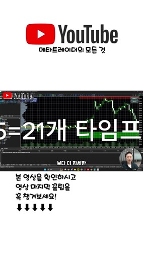 메타트레이더란? 5편 #mt5 #인피녹스