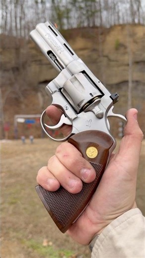 Colt Python #shortsfeed #shortsyoutube #shortsvideo #callofduty #Cod #warzone #thewalkingdead #gun