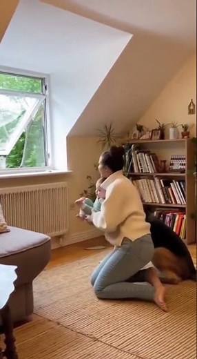 Hero Dog Saves Baby from Falling Out Window!