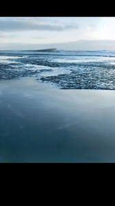 Obsessed with fossils and the stories they tell from millions of years ago. 🦴 #dino #prehistoric #fossils #dinosaur #paleontology | Love Dinosaurs