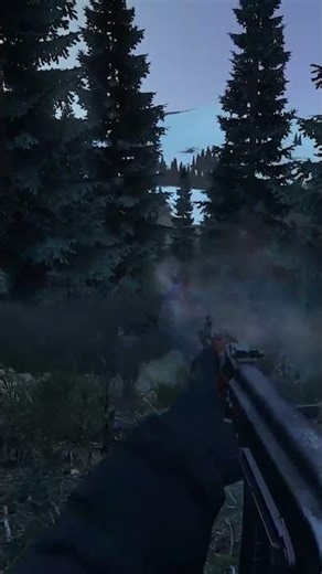Always Be Ready on DayZ
