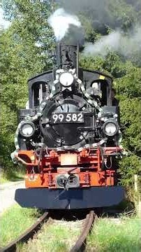 Bürstenfest 2026 in Stützengrün 🌲🚂