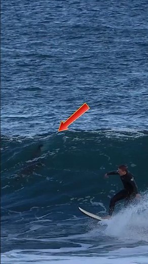 The Best Diving Fails #shorts