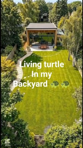 a living turtle pond in my backyard 😎 #shortsvideo #constructiontimelapse #waterworlds