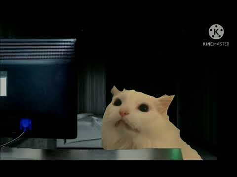 Thurston Waffles accidentally turns on light mode