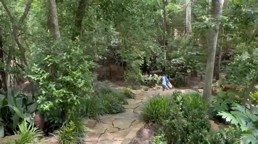 Michael Berry on Reels