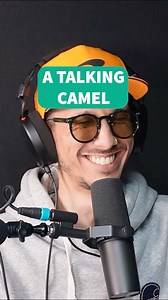 A talking camel | How To Kill an Hour