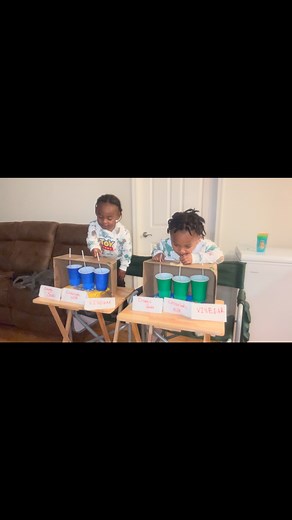 Drink Challenge #toddlerEdition #fyp #toddlerlife #family #pranks #fraternaltwins #happymonday 💙 jestice is so upset because i tricked him into trying it a second time 😂😂😂😂 | Jestin Jestice