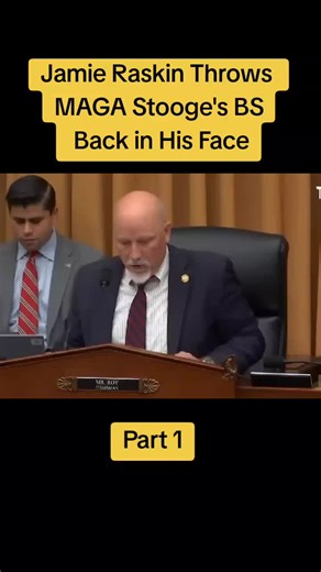Jamie Raskin Throws MAGA Stooge's BS Back in His Face - Part 1 #vlog #qknews #news #usa🇺🇸 #us